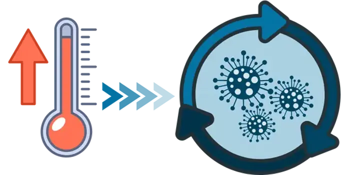 An illustration of a rising thermometer with red arrows pointing up, followed by blue arrows toward a circle containing spores icons, symbolizing the relationship between temperature increase and mold spore metabolism.