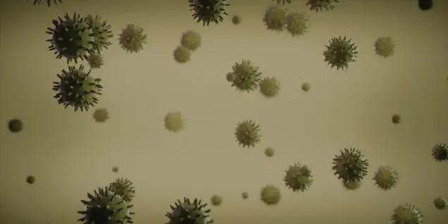 Floating spiky virus-like particles are scattered against a plain, yellowish background, resembling microscopic organisms or germs viewed under a microscope during an inspection or assessment.