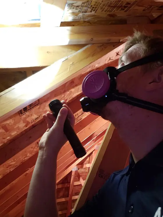 A person in an attic wearing a respirator mask conducts an inspection, shining a flashlight towards the ceiling. Wooden beams and insulation materials are visible in the background.