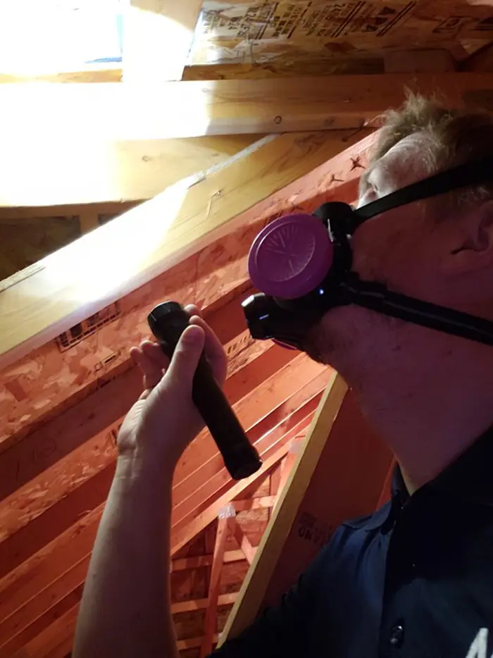 A person in an attic wearing a respirator mask conducts an inspection, shining a flashlight towards the ceiling. Wooden beams and insulation materials are visible in the background.