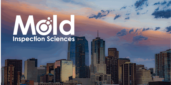 Mold Inspection Sciences Denver