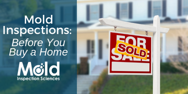 A Sold sign stands proudly in front of a house, with the text reading: Mold Inspections and Testing: Before You Buy a Home. Mold Inspection Sciences.
