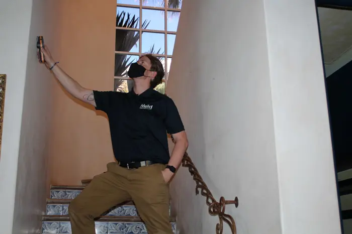 A person in a black shirt and mask conducts an inspection on the staircase, pointing a device upward. The wall and stairs are light-colored, while a window with plants outside forms the background.
