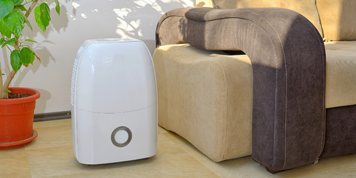 A white dehumidifier is placed on a light-colored floor beside a brown and beige sofa, perfect for mold prevention. A potted plant with green leaves is on the left, adding a touch of greenery to the room. Sunlight casts soft shadows on the wall behind.