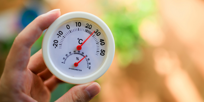 A hand holds a round white thermometer displaying 26°C, with an assessment of humidity at 56% indicated by the hygrometer below. The softly blurred green background suggests foliage, hinting at a potential for mold growth in the environment.