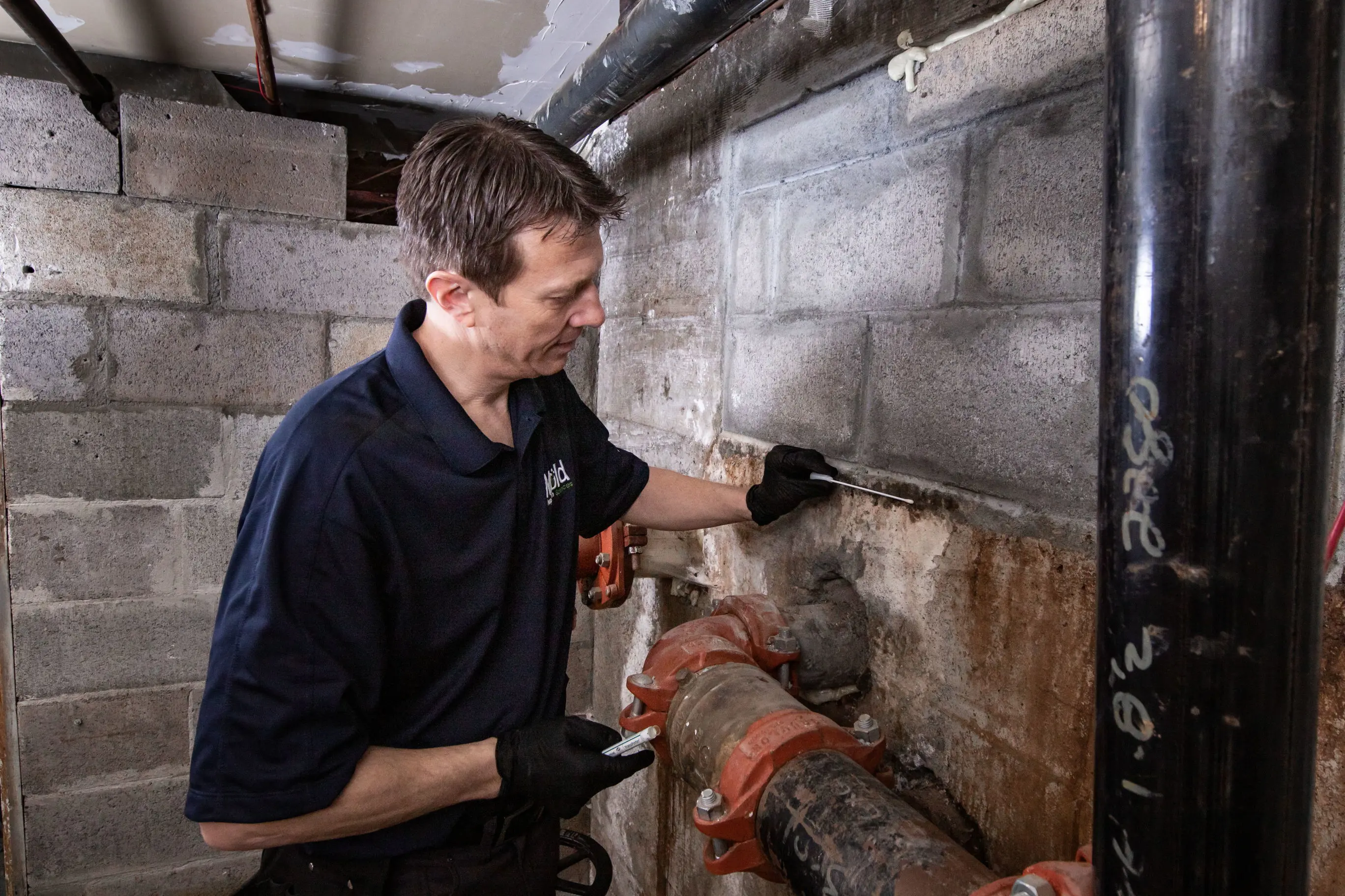 A man wearing a dark blue shirt and black gloves conducts an assessment, inspecting a large pipe in a concrete-walled basement. He holds a small tool, carefully examining the connection between the pipe and the wall for any signs of mold.