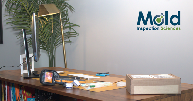 A tidy office desk featuring a computer monitor, a small fireplace heater, various office supplies, and a cardboard box sits beneath the Mold Inspection Sciences logo on the wall. A potted plant and a desk lamp provide ambiance while sampling equipment for mold testing is discreetly tucked away.