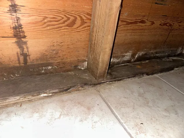 Close-up of a wooden wall with visible water damage and mold at the base, suggesting the need for an inspection. The tiled floor below also shows signs of dirt and wear, indicating further investigation might be necessary to assess potential underlying issues.