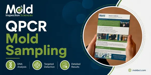 A person holds a brochure titled QPCR Mold Sampling from Mold Inspection Sciences, highlighting DNA analysis, targeted testing and detection, and detailed results. MoldSci logo and website are visible.