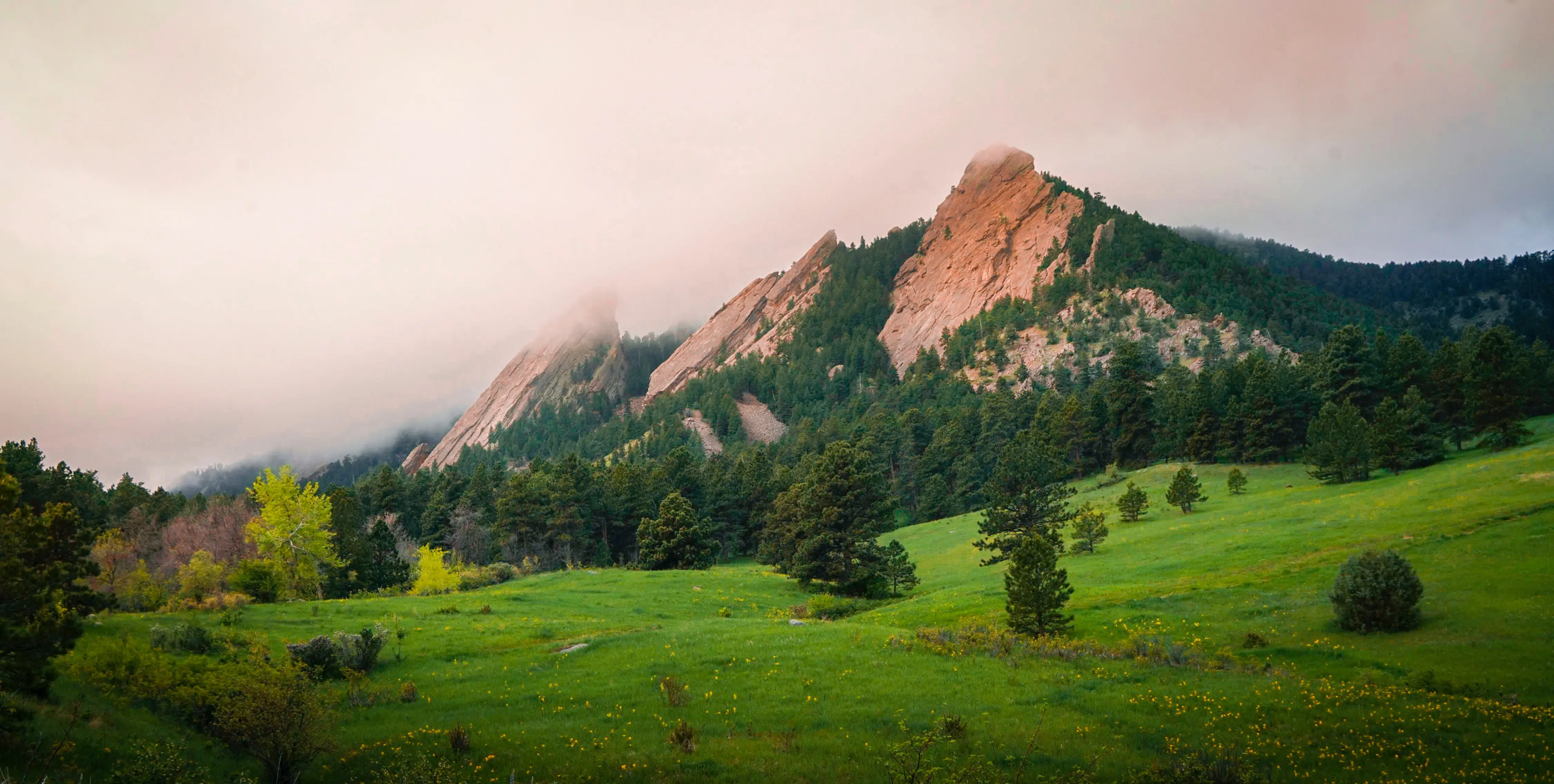 A scenic view of green meadows leading to rocky, triangular mountain peaks partially shrouded in mist and low clouds creates a perfect backdrop for an investigation into nature's splendor. The foreground features lush grass and scattered trees under a soft, overcast sky.