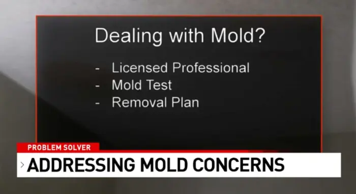 A presentation slide titled Dealing with Mold? lists three bullet points: Licensed Professional, Mold Testing, and Removal Plan. Below, a news banner reads Problem Solver and Investigating Mold Concerns.