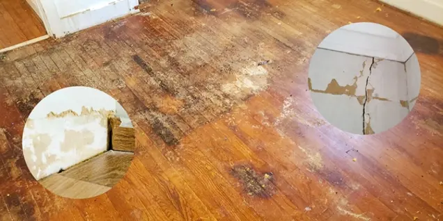 A wooden floor with dark stains and water damage. Two circular insets highlight peeling paint and cracks in a wall, indicating significant moisture problems that may warrant mold investigation or sampling.