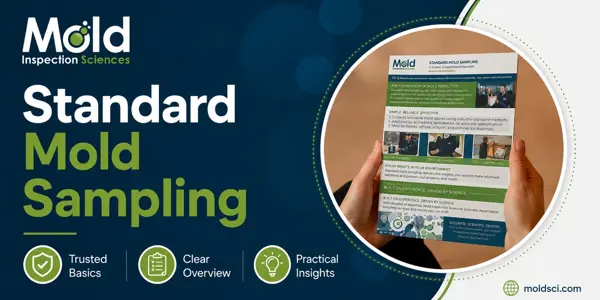 A person holds a flyer titled Mold Standard Sampling, featuring text, images, and the Mold Inspection Sciences logo. The background highlights inspection features: Trusted Basics, Clear Overview, and Practical Insights. Website: moldsci.com.