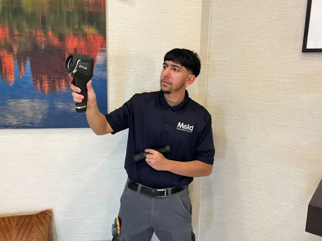 A person in a navy blue shirt with the Mold logo holds a thermal imaging camera and a flashlight, standing indoors next to a couch as they conduct an inspection. A colorful abstract painting adorns the wall behind them, adding vibrancy to the scene.