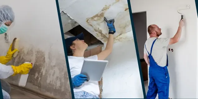 Three-panel image: Left, person cleaning mold from a wall while wearing protective gear. Center, person conducting an inspection of a damp ceiling with a tablet. Right, person in blue overalls painting a white wall.