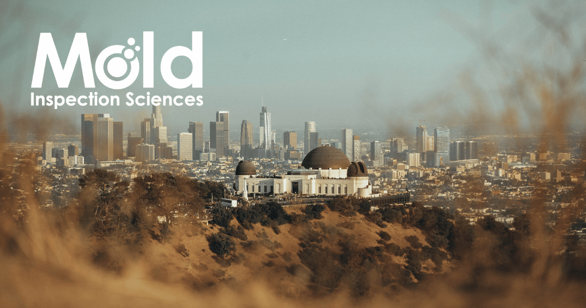 Mold Inspection Sciences Los Angeles