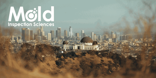 Mold Inspection Sciences Los Angeles