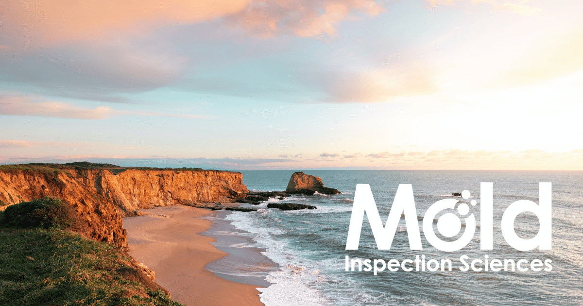 Mold Inspection Sciences Santa Cruz