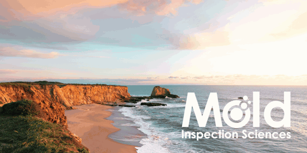 Mold Inspection Sciences Santa Cruz