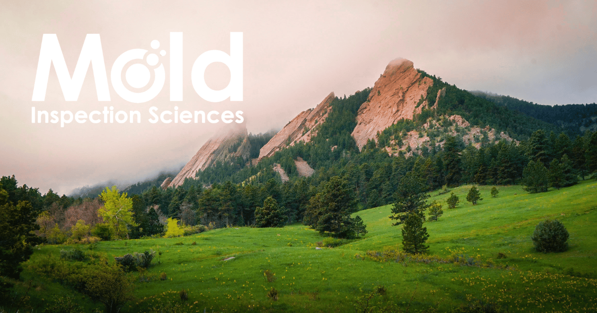 Mold Inspection Sciences Boulder