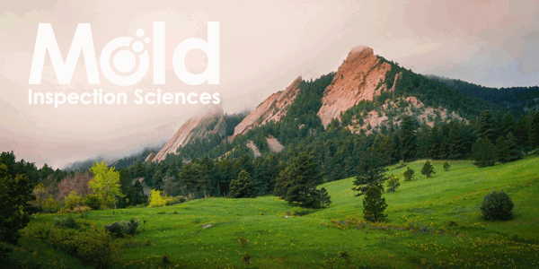 Mold Inspection Sciences Boulder