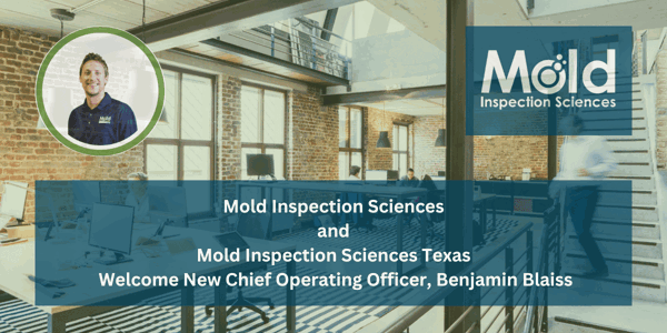 Modern office space with wooden beams and brick walls. Text overlay: Mold Inspection Sciences and Mold Inspection Sciences Texas Welcome New Chief Operating Officer, Benjamin Blaiss. Our dedication to rigorous testing and sampling ensures a healthier environment. Circular inset shows an unidentified man smiling.