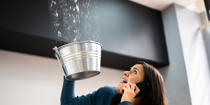 A woman holds a metal bucket to catch water leaking from the ceiling while talking on the phone, launching an impromptu investigation into the unexpected indoor waterfall. She looks surprised, standing near a window during this unplanned assessment of her home's structural integrity.