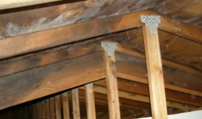 Wooden ceiling beams and rafters with metal brackets are shown in an attic space, ripe for inspection. The wood has a natural finish and shows signs of aging. Dust and cobwebs are visible among the structures, offering a revealing view of the building's framework.