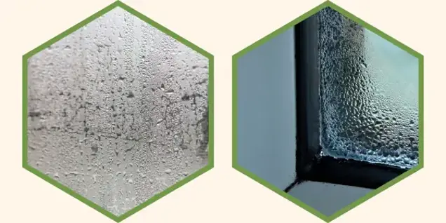 Two hexagonal frames: the left shows a close-up of water droplets on a foggy glass surface, while the right highlights condensation on a windowpane—perfect visuals for moisture inspection or assessment.
