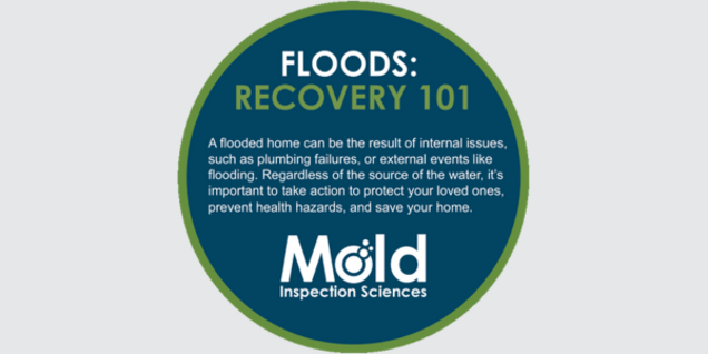Circular graphic titled Floods: Recovery 101. The text highlights that flood damage can stem from internal issues or external events, emphasizing the importance of taking action like mold testing to protect health and home. Features the Mold Inspection Sciences logo.