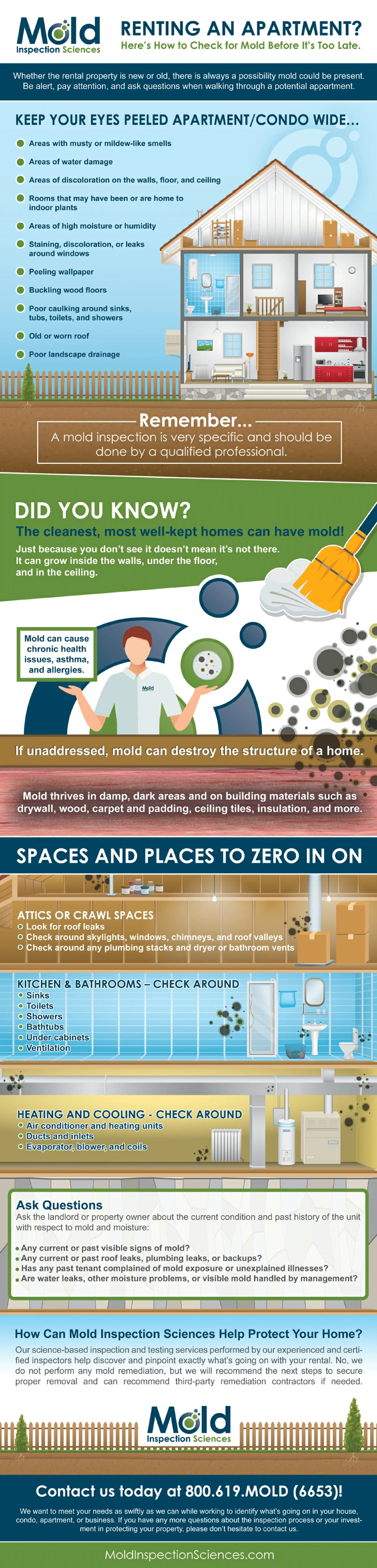 Renting an Apartment?  Here’s How to Check for Mold Before It’s Too Late