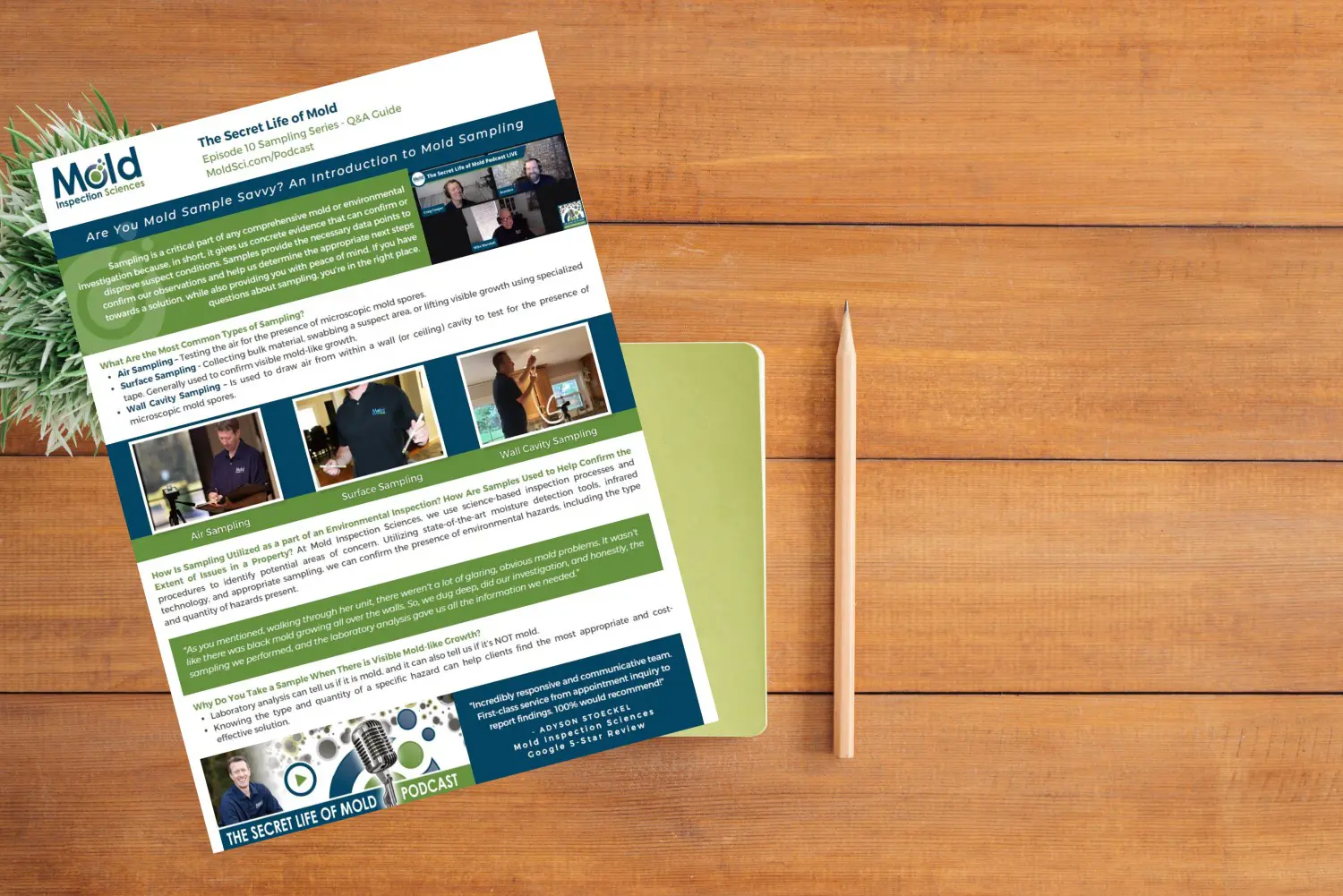A newsletter titled The Secret Life of Mold about mold investigation lies on a wooden table. It includes text, images of people, and sections about mold information. A notebook and a pencil are beside it, with a plant partly visible.