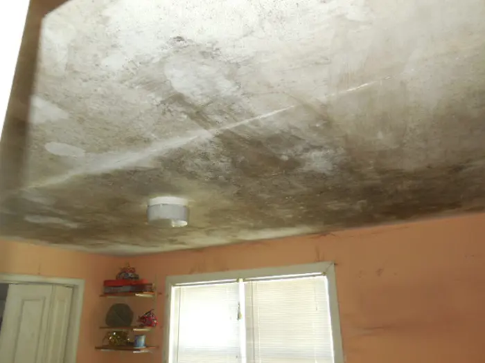 A room with a ceiling showing dark mold or water damage suggests recent inspection is needed. A light fixture hangs in the center. The walls are lightly colored, and two windows with blinds sit below the ceiling. A small shelf holds various items on the left wall.