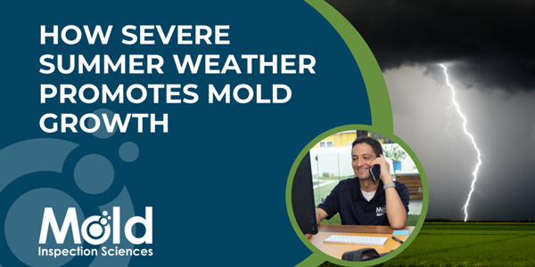 A presentation slide titled How Severe Summer Weather Promotes Mold Growth features a man on the phone, set against a backdrop of a lightning storm. Highlighting the importance of mold inspection, the Mold Inspection Sciences logo is prominently displayed.