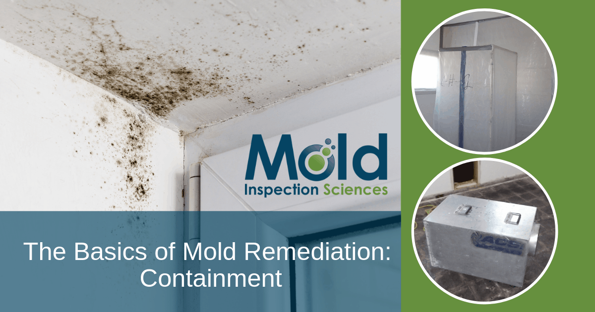 Mold Remediation Basics Part I: Containment