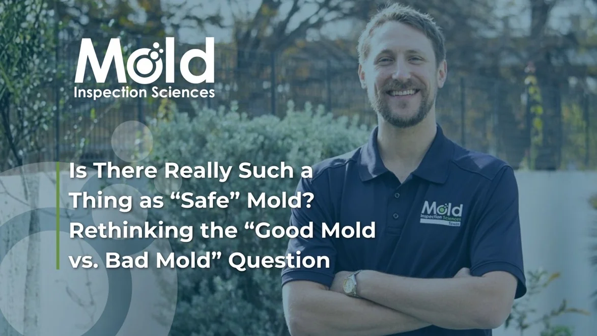 Is There Really Such a Think as "Safe" Mold?