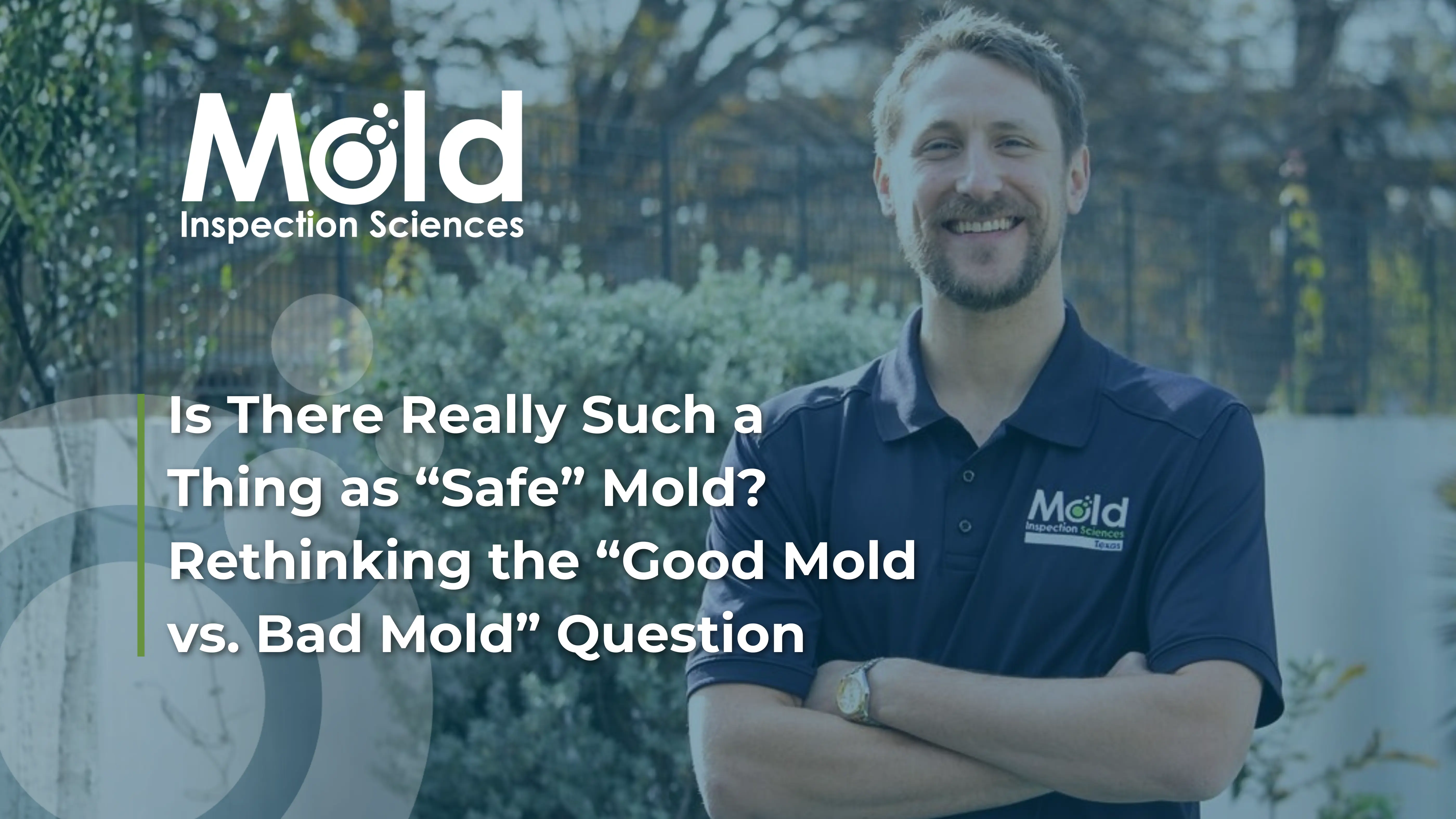 Good Mold vs Bad Mold Revisited