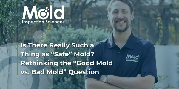 Good Mold vs Bad Mold Revisited