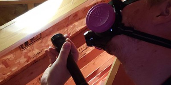 A person wearing a respirator holds a flashlight, meticulously conducting an assessment of the wooden attic with exposed beams, checking for any signs of mold.