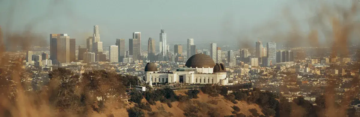 A panoramic view of the Los Angeles skyline with the Griffith Observatory in the foreground and tall skyscrapers in the background, almost like an inspection of urban beauty. Dry grass and foliage partially frame the buildings under a clear sky.