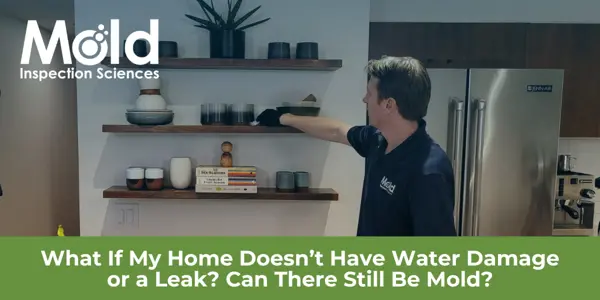 A man reaches for books on a wall shelf in a kitchen adorned with decorative items. The text asks, "What If My Home Doesn’t Have Water Damage or a Leak? Can There Still Be Mold?" Consider scheduling an inspection to uncover hidden mold threats in your home.