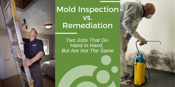 A split image shows a mold inspector on a ladder examining a ceiling and a worker in protective gear spraying chemicals on a wall. The center text reads, Mold Inspection vs. Remediation: Two Jobs That Go Hand In Hand, But Are Not The Same, emphasizing the importance of thorough mold investigation.