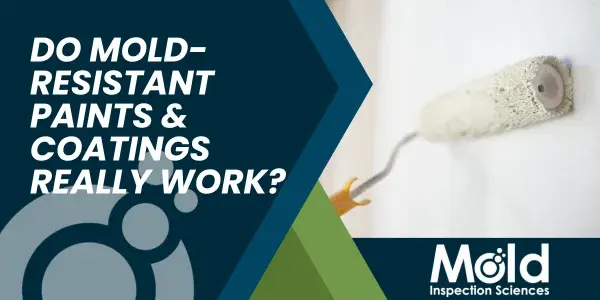 Do Mold-Resistant Paints and Coatings Really Work?