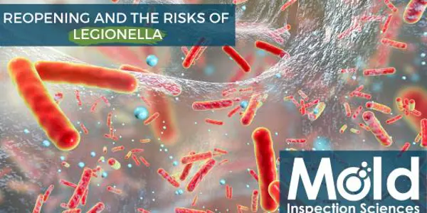 Legionella Concerns Amid COVID Reopening