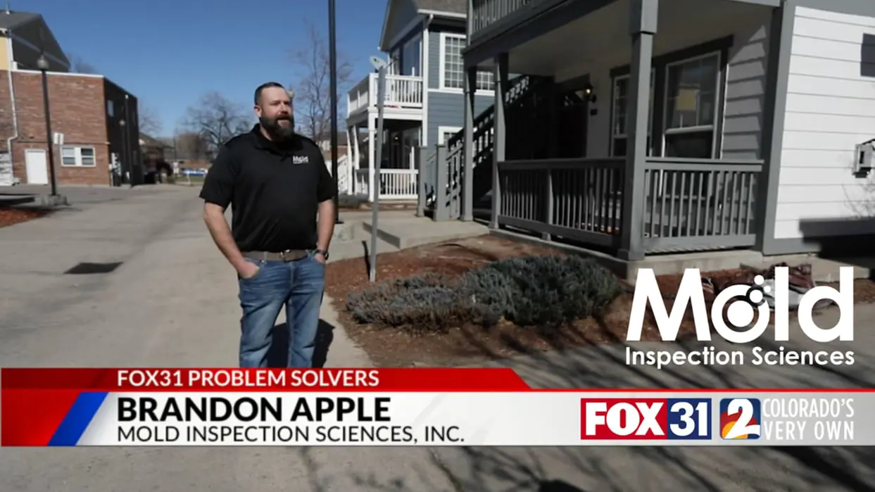 A man stands outside a residential area, wearing a black polo shirt with a logo. The text over the image reads FOX31 Problem Solvers, identifying him as Brandon Apple from Mold Inspection Sciences, Inc., known for their thorough mold investigation. Logos for FOX31 and 2 appear at the bottom.