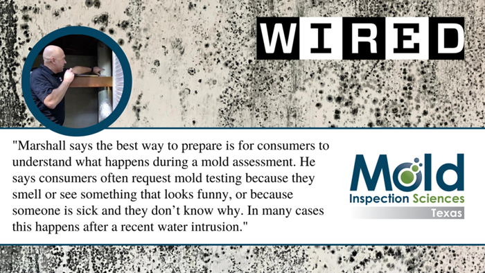 A magazine excerpt features a man in a blue shirt, with text discussing mold inspections and testing. A logo for Mold Inspection Sciences Texas is included on a background showing mold growth.