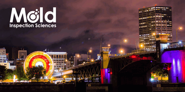 Mold Inspection Sciences Portland