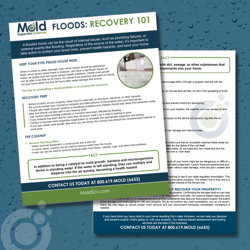 Two overlapping informational pamphlets titled FLOODS: RECOVERY 101 from Mold Inspection Sciences detail essential mold prevention and recovery steps. The text guides thorough mold assessment after floods. Water droplet graphics enhance the blue-toned background. Contact info is included.