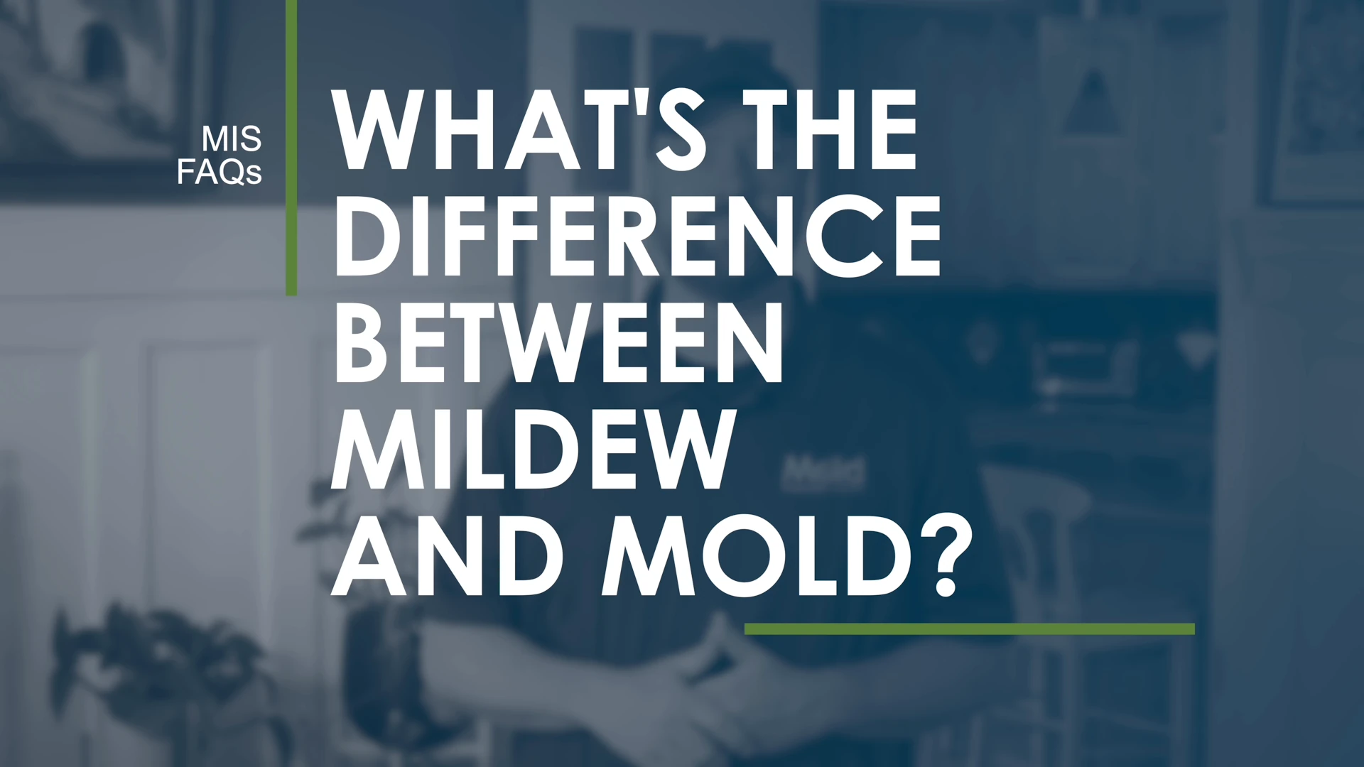 What’s the Difference Between Mildew and Mold?