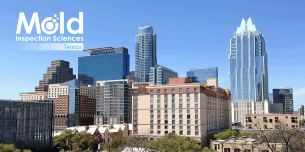 Mold Inspection Sciences Austin